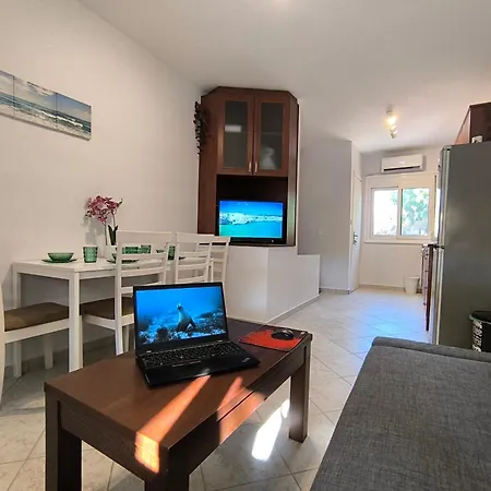 Summer Magic In * プサコウディア